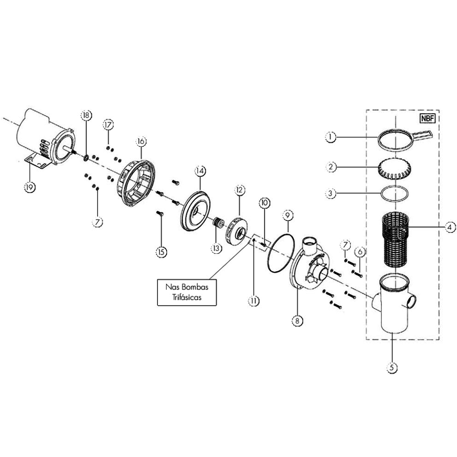 Rotor para bomba NBF